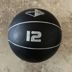 Medicine Ball 12 Lbs