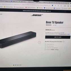 Bose TV Speaker 