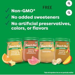 FREE Beech-Nut Baby Food