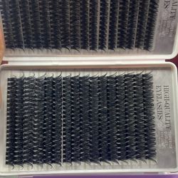 Lashes 