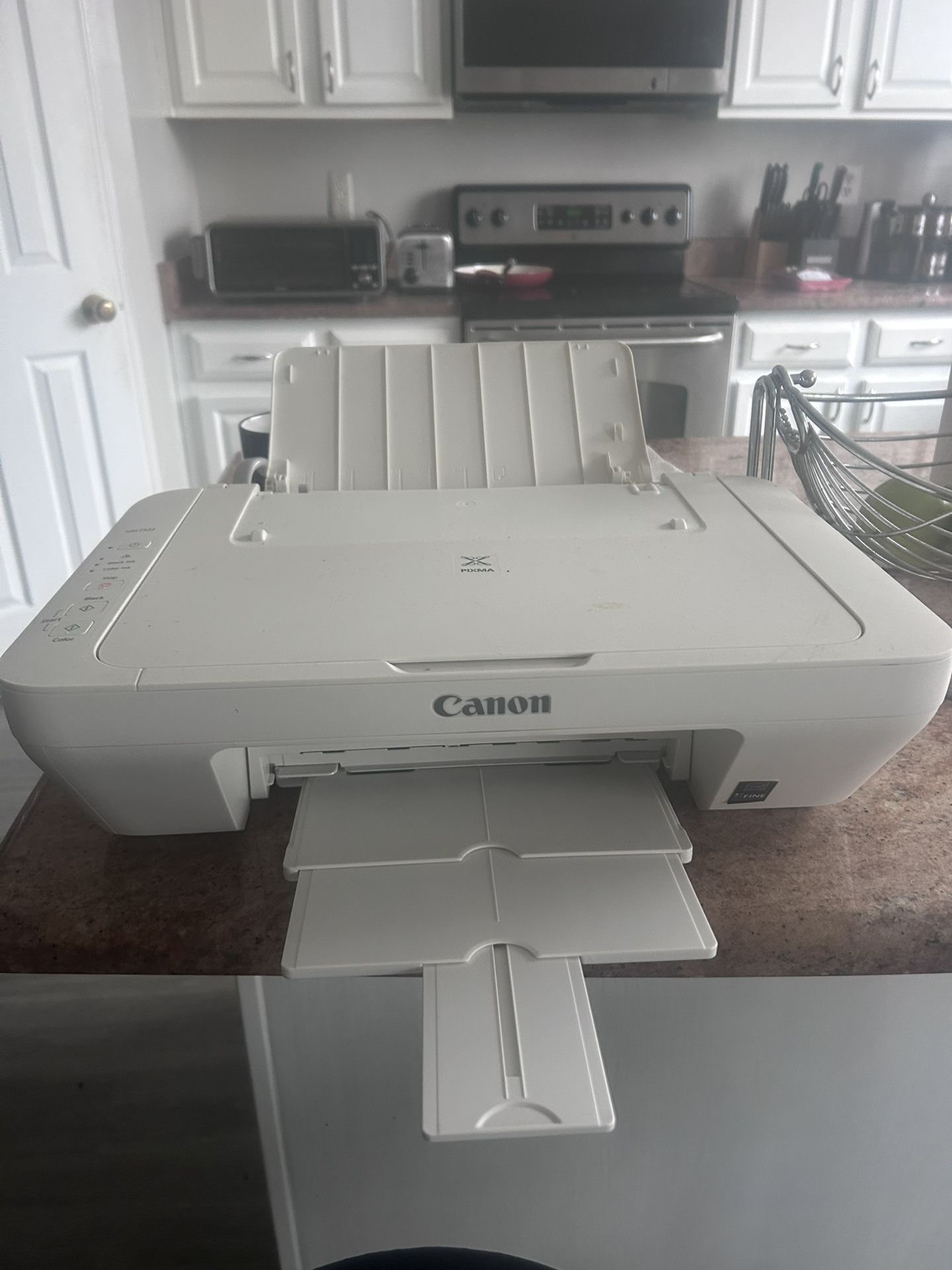 Canon Pixma MG2522 All-in-One Inkjet Printer, Scanner & Copier