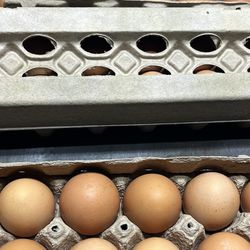 FRESH EGGS