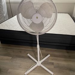 Fan 