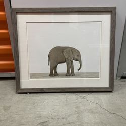 Elephant Picture 