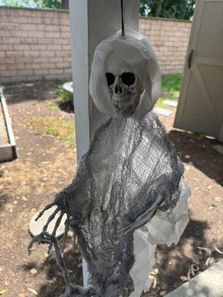 Skeleton