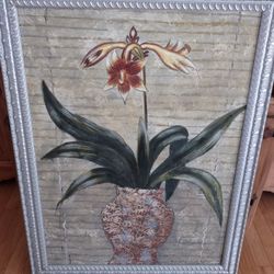 Potted Plants Picture 