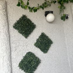 Plant Decoration’s 