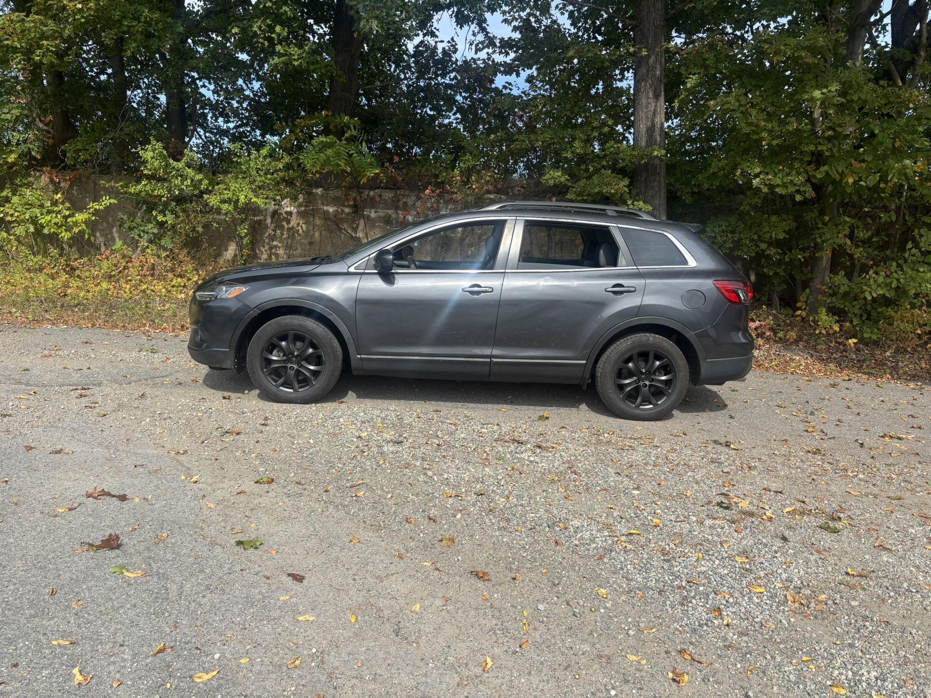 2013 Mazda Cx-9