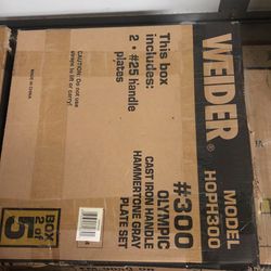 Set Of 25lbs Cast Iron Plates