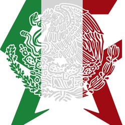 Boxing Fan Shirt  Canelo