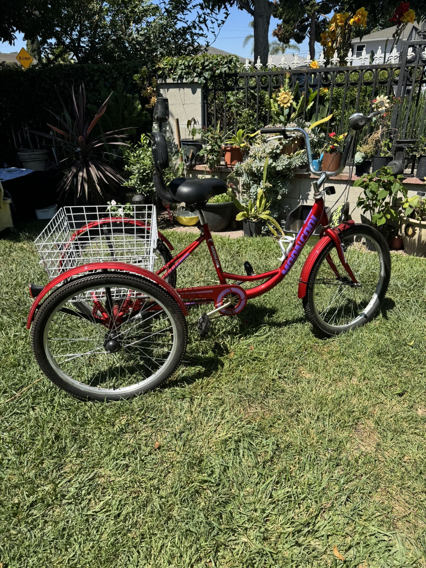 24” Triciclo