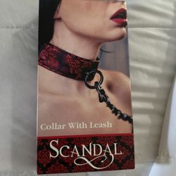 NEW Collar w Leash, Never Opened, Contents Sealed In Plastic