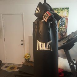 Everlast Punch Bag