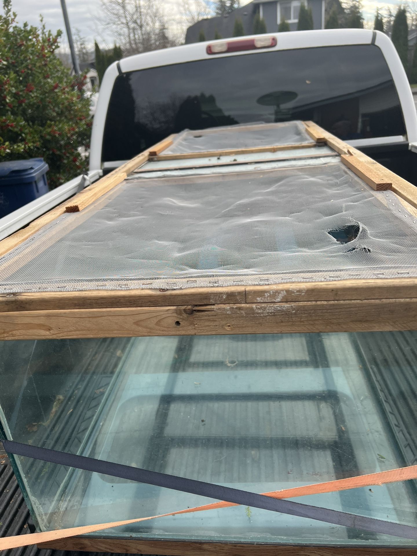 Aquarium/Critter Cage