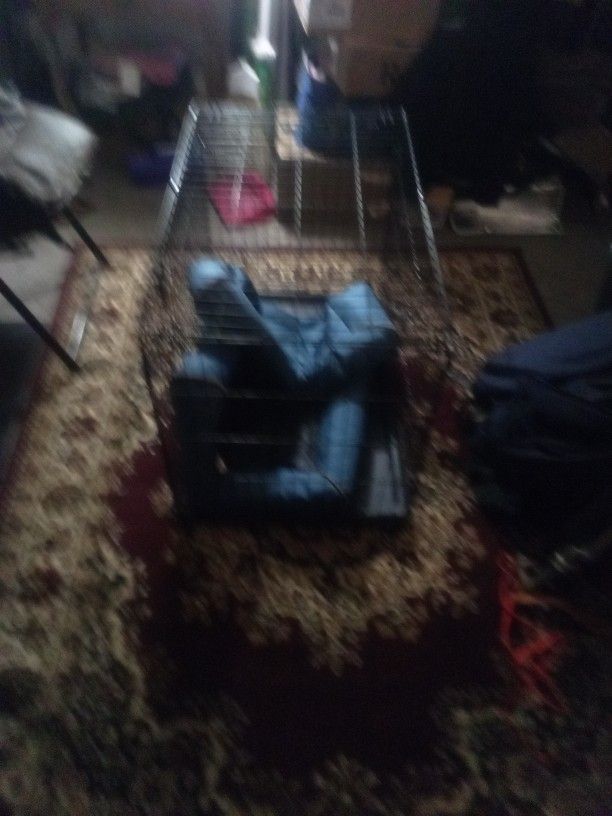 Animal Kennel