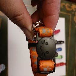 Cat Collars