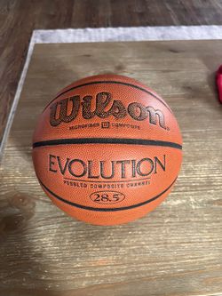 Wilson Basketball