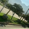 Isidro