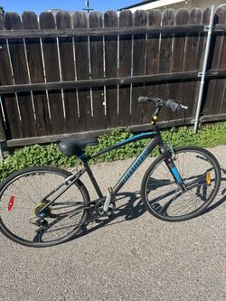 Hybrid bike