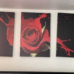 Rose Canvas