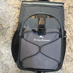 Cooler bag/backpack