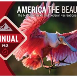 National Park Pass (Valid Until December 2025)