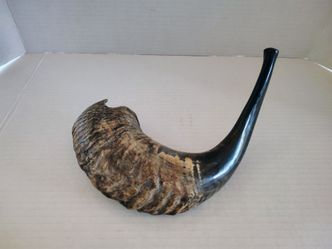 Classical Ram's Horn Kosher Shofar