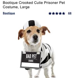 Prisoner Dog Costume