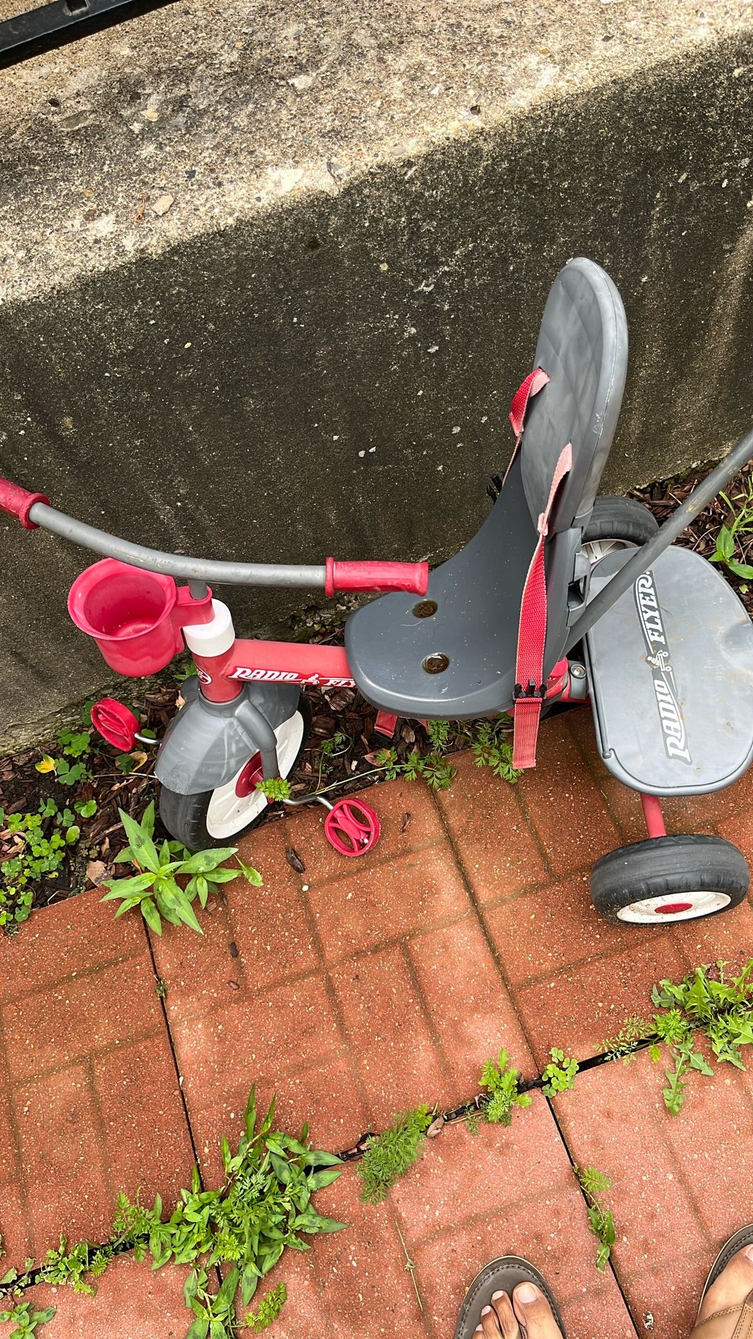 Free, Baby, Infant Push Carts And Walker