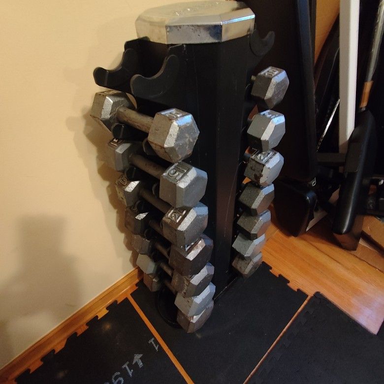 10lb Thru 40lb Metal Hex Dumbbell Set With Vertical Rack