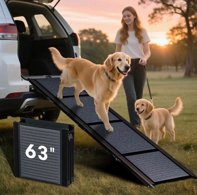 Folding Dog Ramp