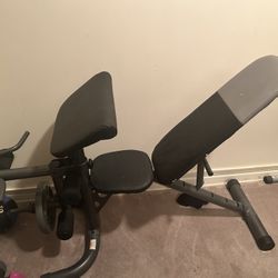 Adjustable Workout Bench 