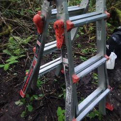Little Giant Velocity Ladder