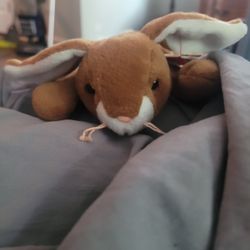 Ears The Bunny Beanie Babie 