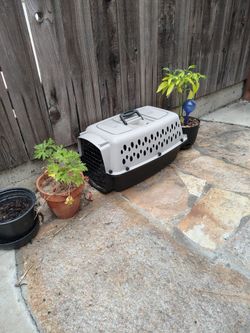 Travel cat carrier