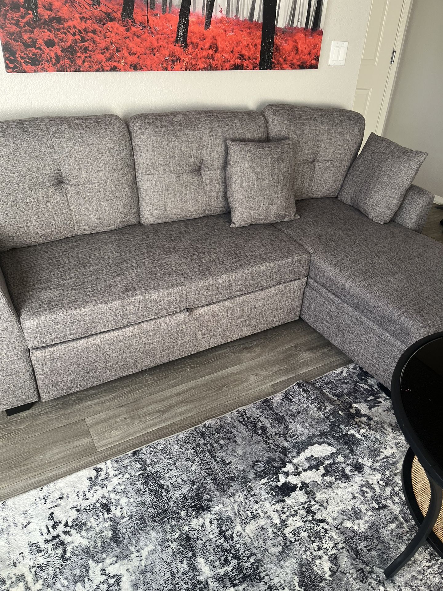 Couch With Storage