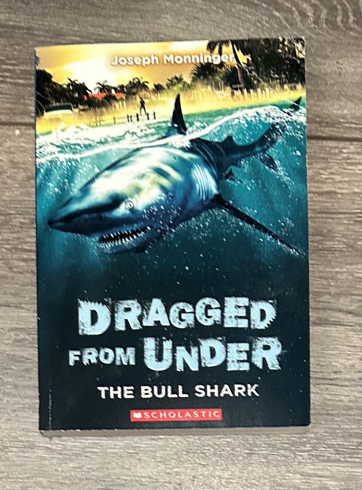 Dragged From Under: The Bull Shark