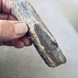 Beautiful Piece Of Petrified Wood