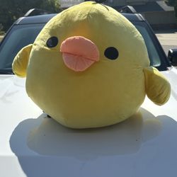 Extra Large Duckling 🐥 