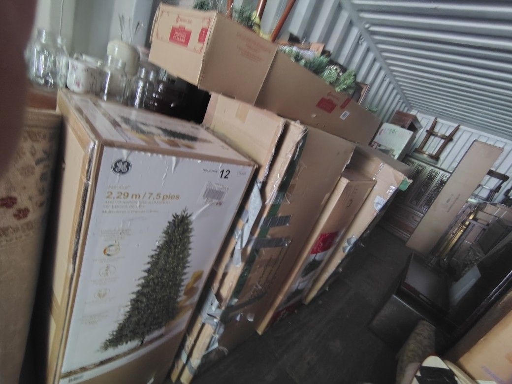 Christmas Trees