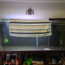 300 Gallon Fish Tank