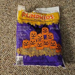 Pumpkids Decorative Halloween Lawn Bags