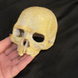 Skull Aquarium Decor