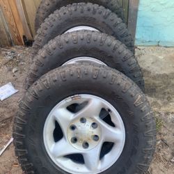 16 n 30s tacoma stocks