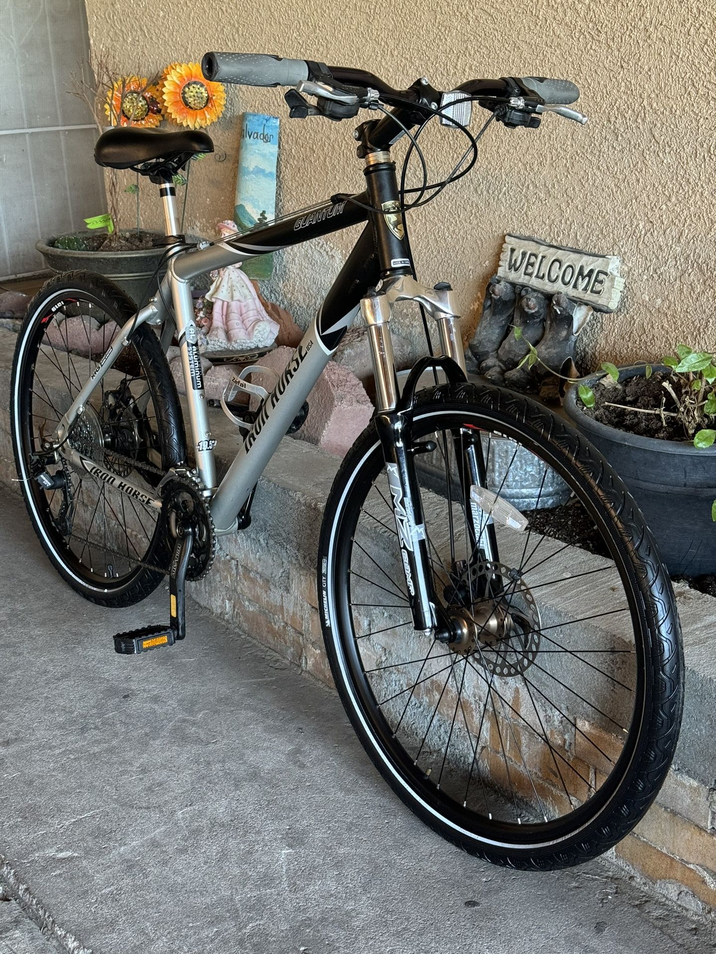 26” Ironhorse Mountain Bike