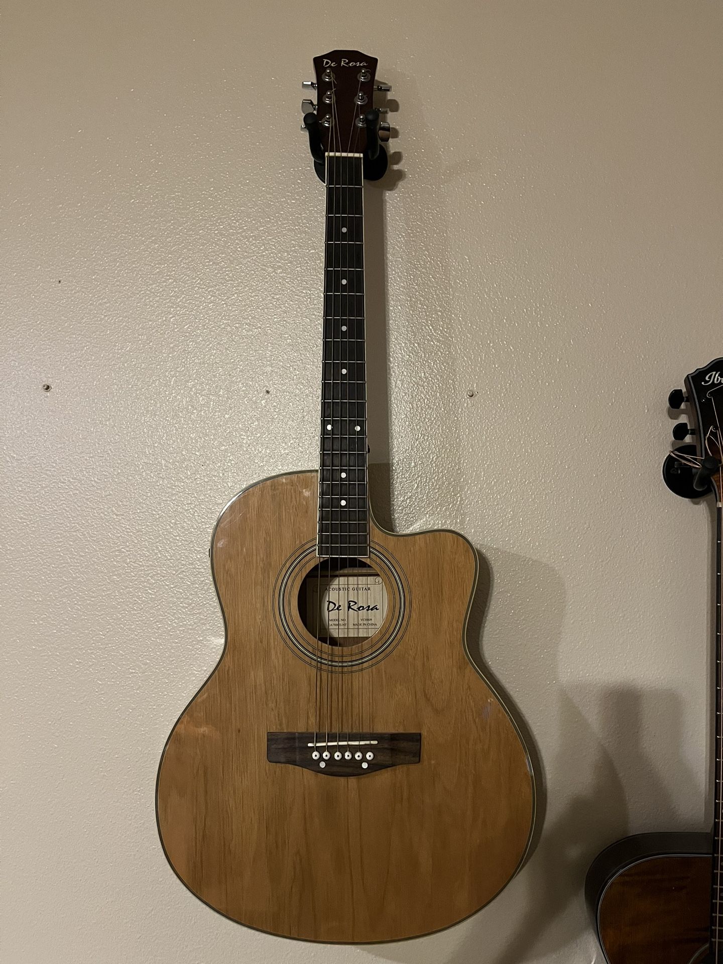 Acoustic Electric Guitar