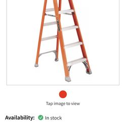 6ft Fiberglass Ladder