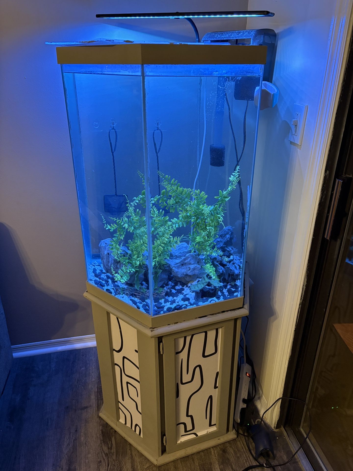 Fish Tank For Sale. Everything Included