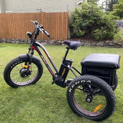 Adult Fat Tire Electric Trike – Mozo MoTan M350 – Only 33 Miles!