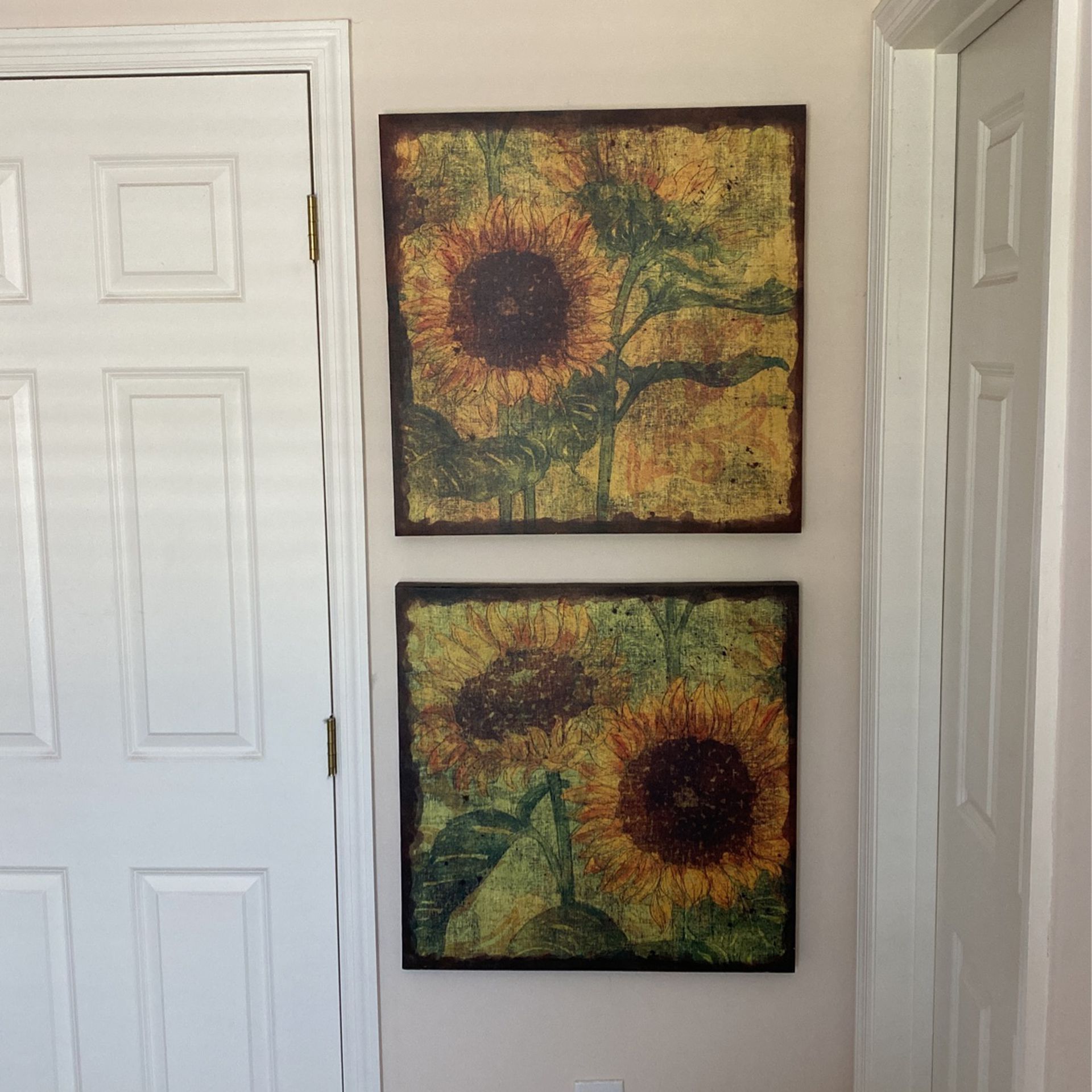Sunflower Canvas Prints